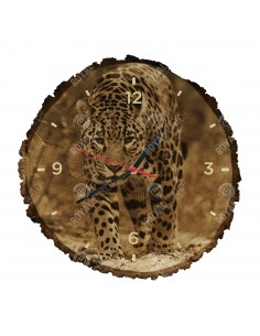 Jaguar amerykański