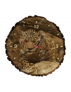 Jaguár americký
