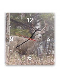 Maultierhirsch