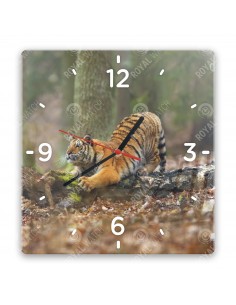 Tiger džungľový