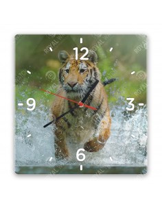Tiger džungľový