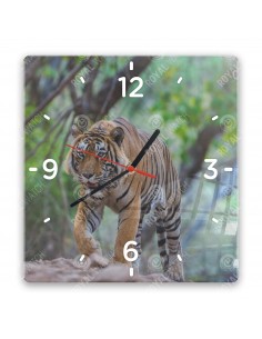 Tigris