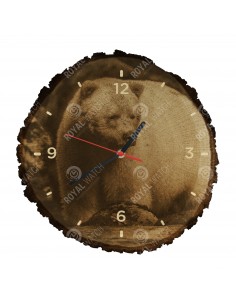 Medveď kermode