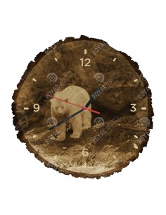 Medveď kermode
