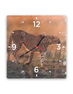 Cheetah