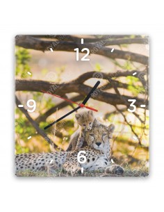 Gepard grzywiasty