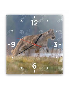 Puma americká