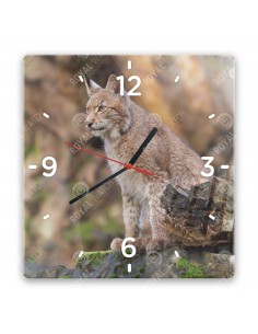 Eurasischer Luchs