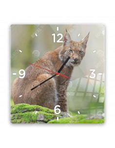 Eurasischer Luchs