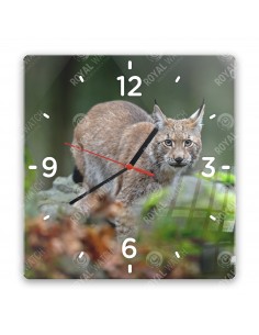 Eurasischer Luchs