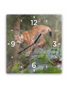 Eurasischer Luchs