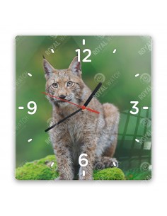 Eurasian lynx