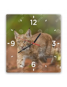 Eurasian lynx