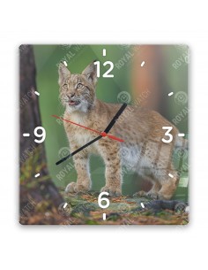 Eurasian lynx