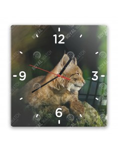 Eurasischer Luchs