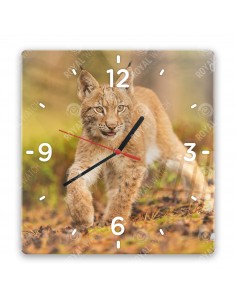 Eurasian lynx