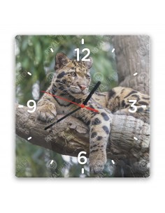 Leopard obláčikový