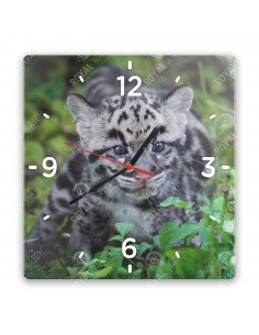 Leopard obláčikový