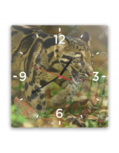 Leopard obláčikový