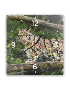 Leopard obláčikový