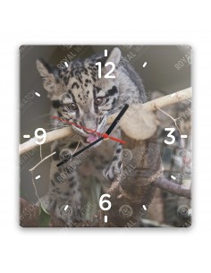 Leopard obláčikový