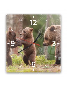 Braunbär