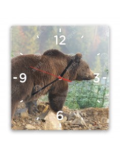 Бурый медведь