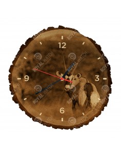 Priamorožec juhoafrický