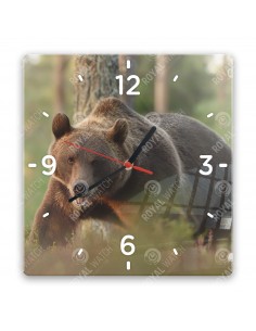 Braunbär