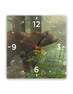 Grizzlybär