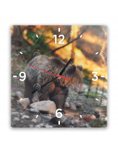 Grizzlybär
