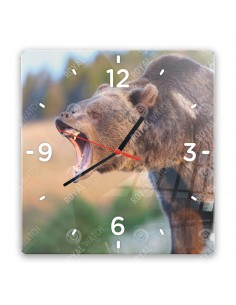 Grizzlybär