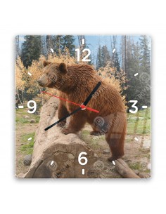 Grizzlybär