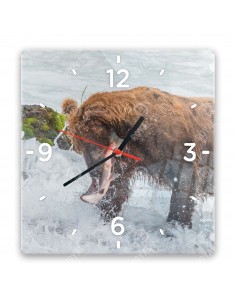 Grizzlybär