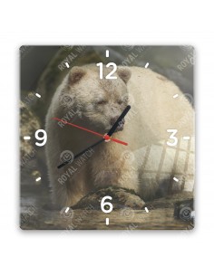 Kermode bear