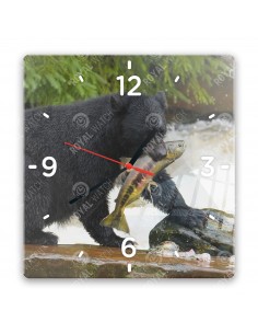 Schwarzbär