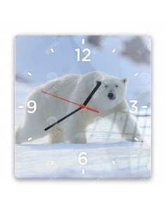 Белый медведь