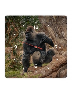 Gorillas