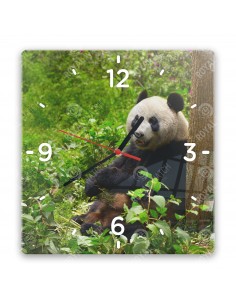 Großer Panda