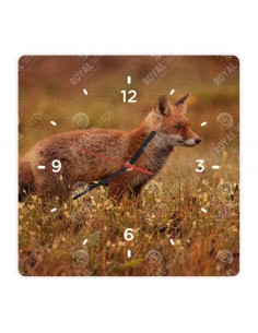 Rotfuchs