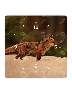 Rotfuchs