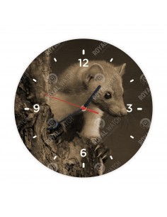 Лесная куница