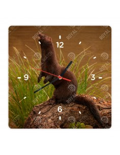 Американская норка