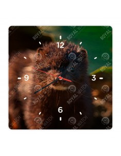 Американская норка