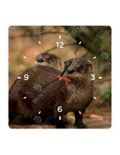 Речная выдра