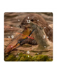 Речная выдра