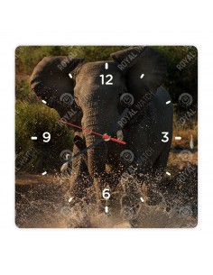 Afrikanischer Elefant
