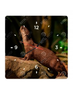 Eurasian otter