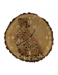 Gepard grzywiasty