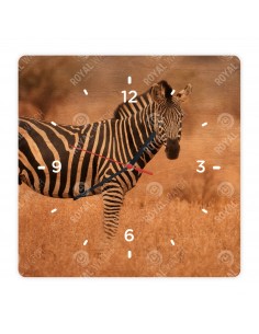 Zebra stepní